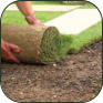 hydro seeding, spray on lawn