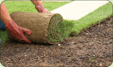 hydro seeding, spray on lawn
