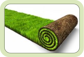 Ready lawns, and turf laying