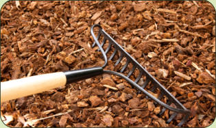 Hedge triming