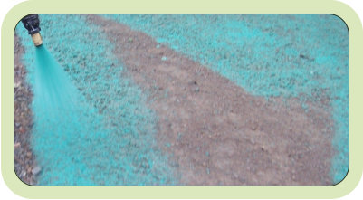 Hydro seeding