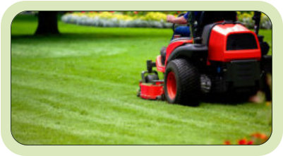 Large lawn mowing