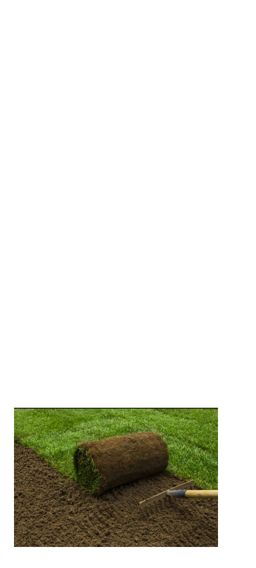 laying ready lawn