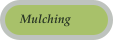 Mulching