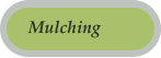 Mulching