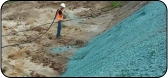 Hydroseeding a bank
